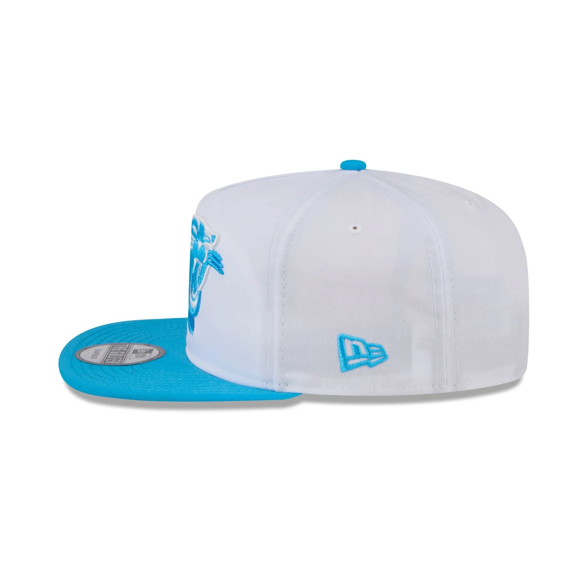 Carolina Panthers 2024 Training Golfer Hat