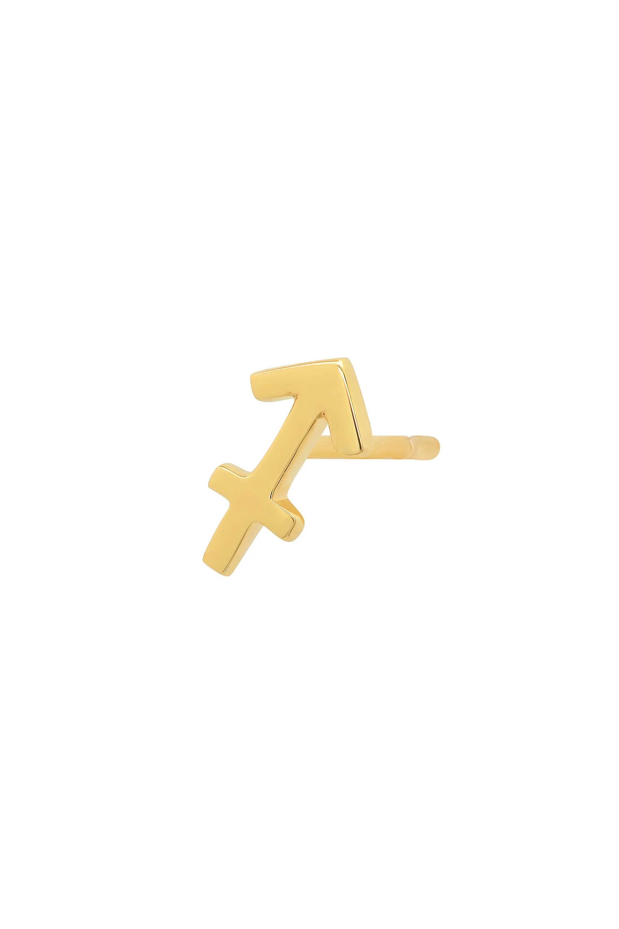 Sagittarius Earring