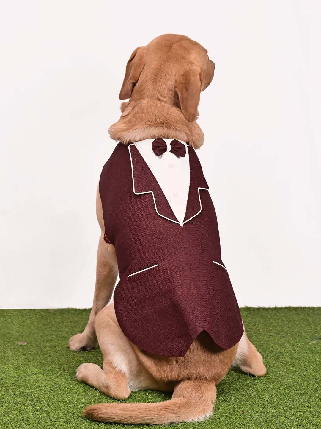 Vastramay Dogs Solid Sleeveless Tuxedo